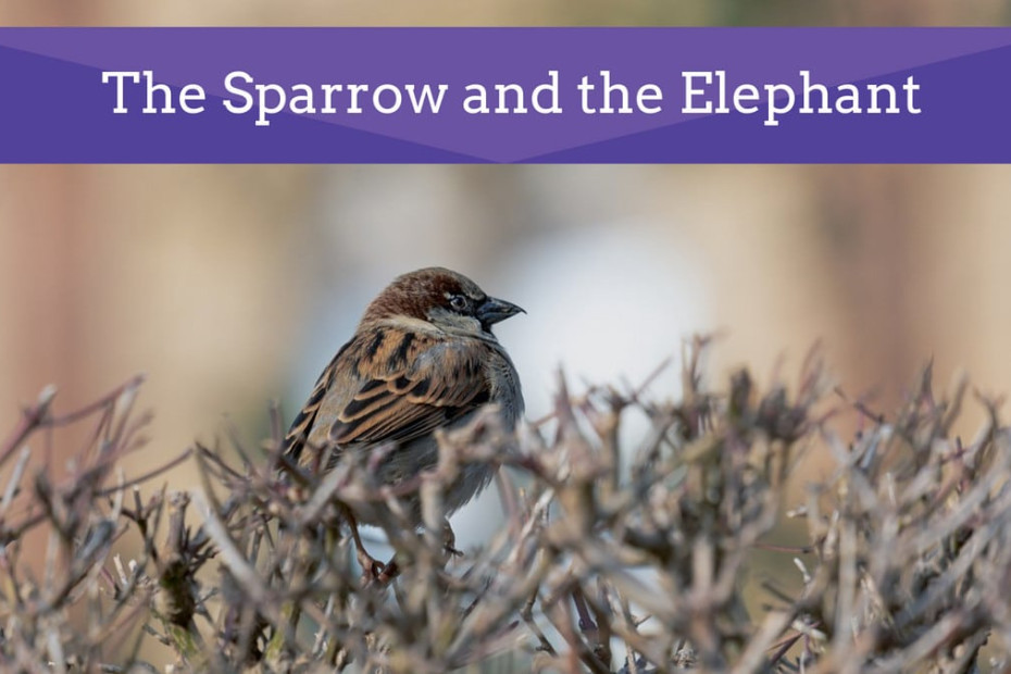 The Sparrow and the Elephant. Listen to this story on Baalgatha Podcast